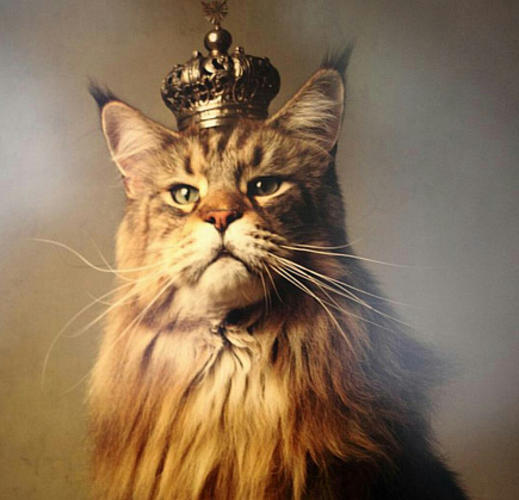 Романовы – «Кошкин род»