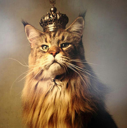 Романовы – «Кошкин род»